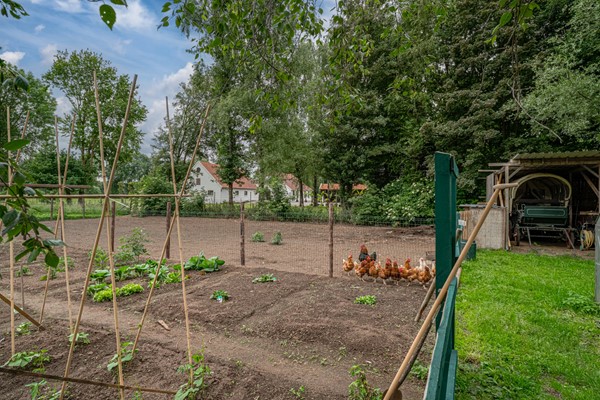 Medium property photo - Peppelmansdijk 12, 7011 JL Gaanderen